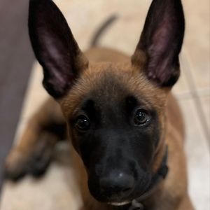 Meet your Posher, Deb